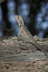 jw_2013_02_12_002